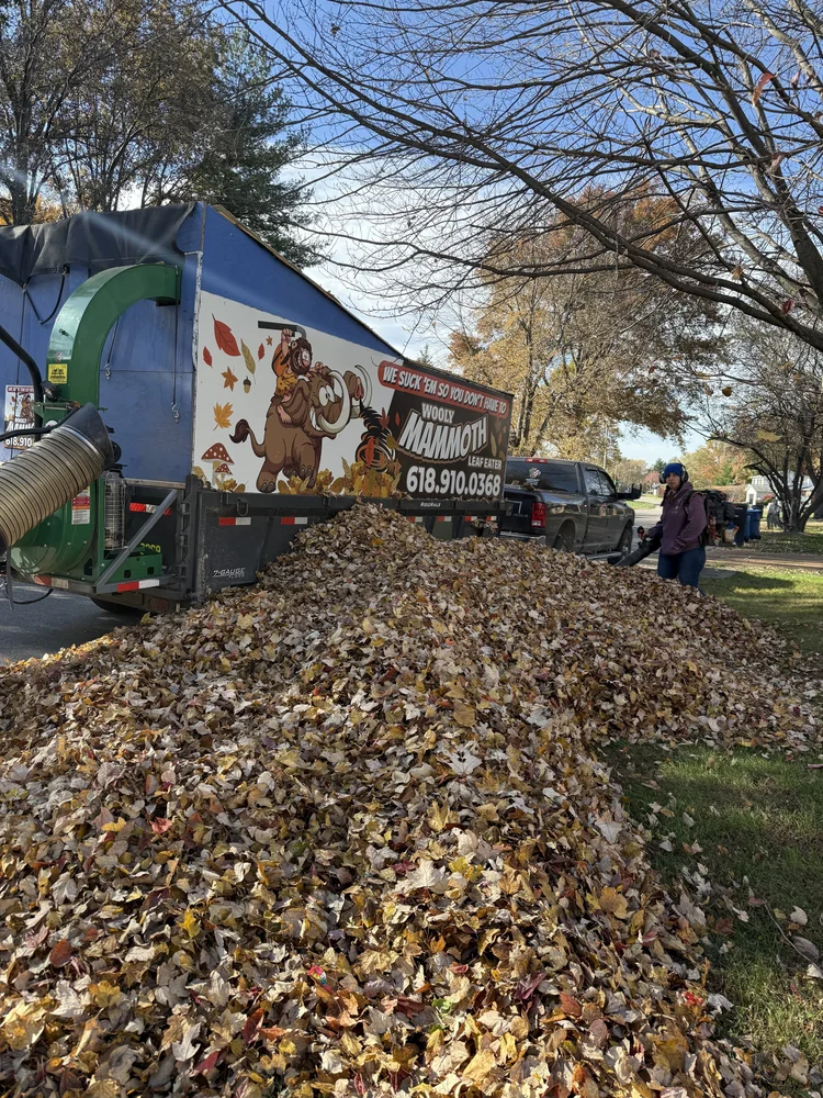 Leaf Removal, Curbside Leaf Vac, Leaf Pickup and Disposal - Vandygriff Services