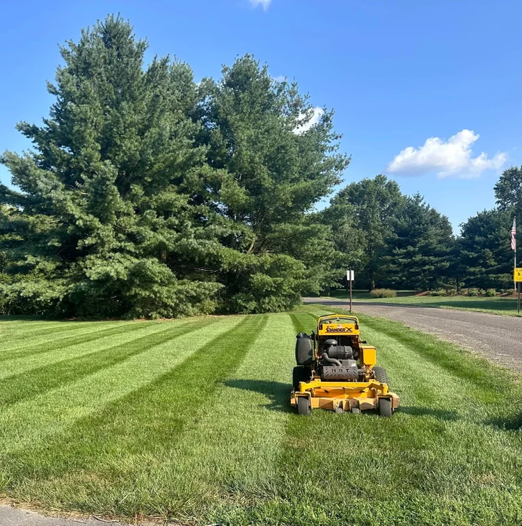 Lawn Mowing & Property Maintenance